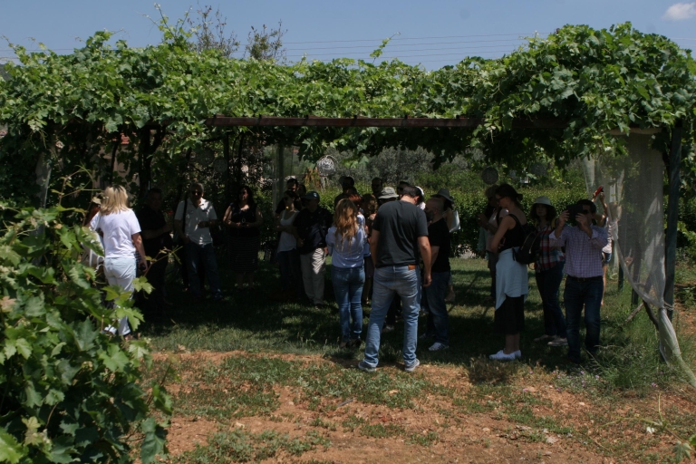 Nemea and Nafplio: privé wijn en geschiedenis tour