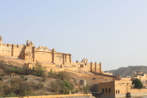 Jaipur: Heldags rundtur i den rosa staden med arkitektur