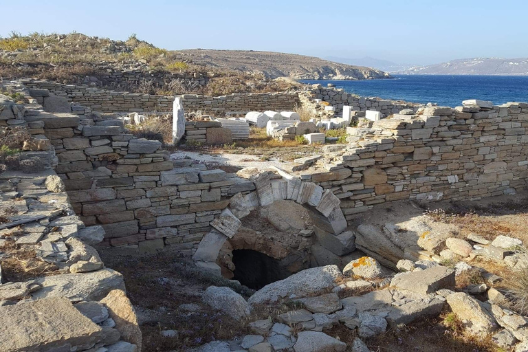 Delos Synagogue: Jewish Heritage Private Tour from Mykonos