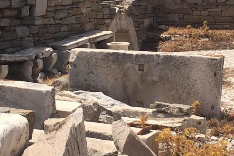 Sinagoga de Delos: tour privado de la herencia judía desde Mykonos