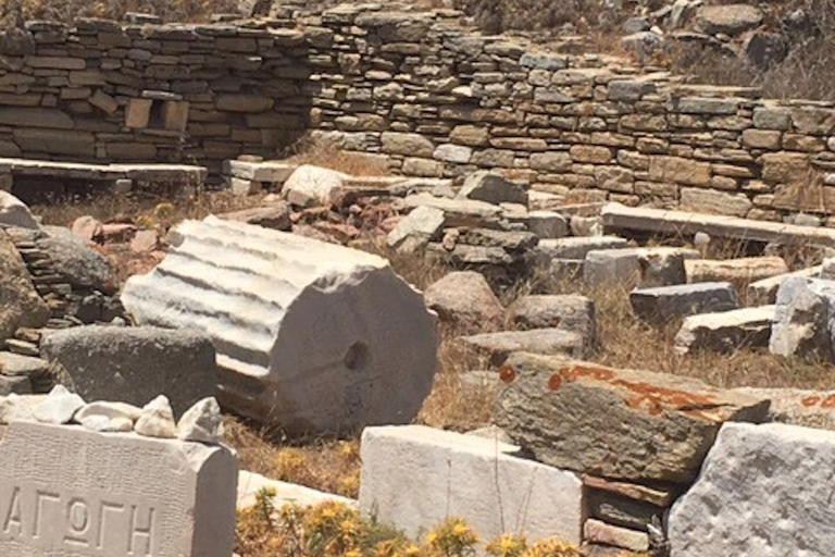 Delos Synagogue: Jewish Heritage Private Tour from Mykonos