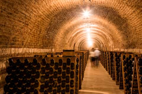 ay cité du champagne 90minute tour with tastings
