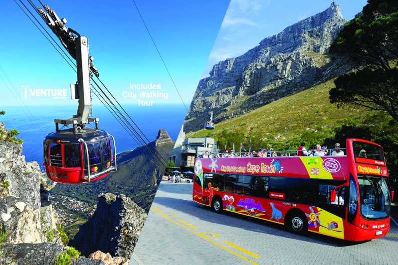 Città del Capo: funivia per la montagna della Tavola e tour in autobus Hop-on Hop-off