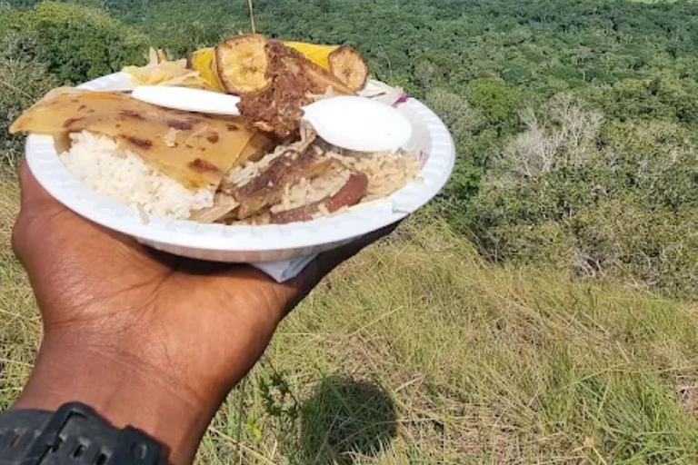 Diani: Guided day trip to Shimba Hills Reserve with lunch