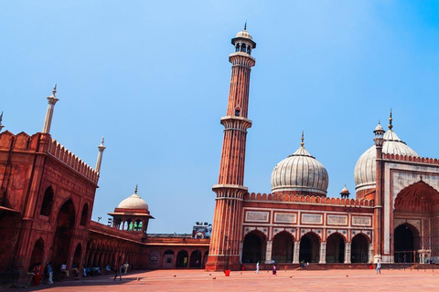 Full Day New and Old Delhi City Tour