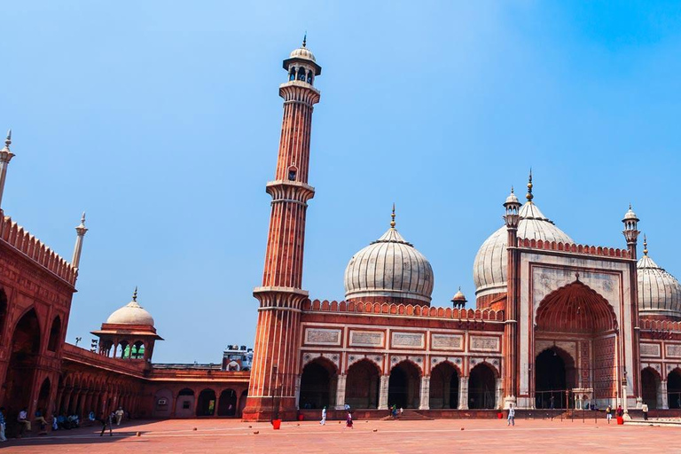 Full Day New and Old Delhi City Tour