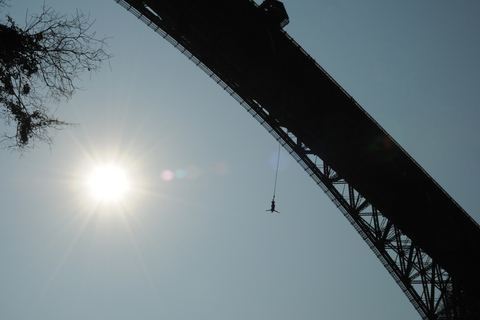 Saut à l&#039;élastique sur le pont des chutes Victoria