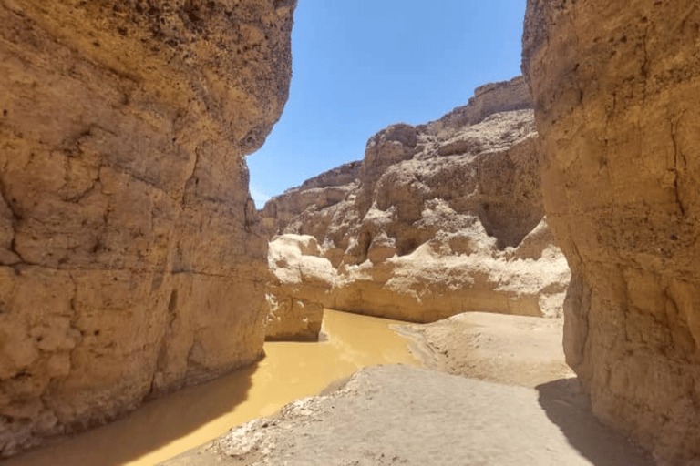 From Swakopmund: Budget Sossusvlei Guided 2-Day Trip