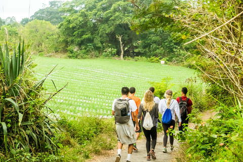 Bali: Wanderung auf dem Batur mit Übernachtung in Kintamani