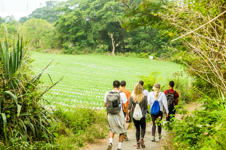 Bali: Wanderung auf dem Batur mit Übernachtung in Kintamani