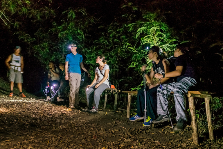 Mt. Batur Sunrise Hike with 1-Night Stay in Kintamani