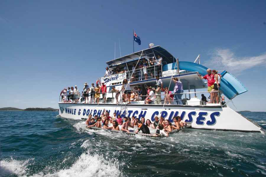 Port Stephens: Delphinbeobachtungsfahrt mit Schwimmen und Rutschen