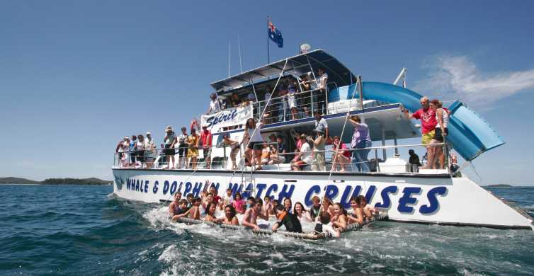 Port Stephens: Plavba za delfíny s plaváním a skluzavkami