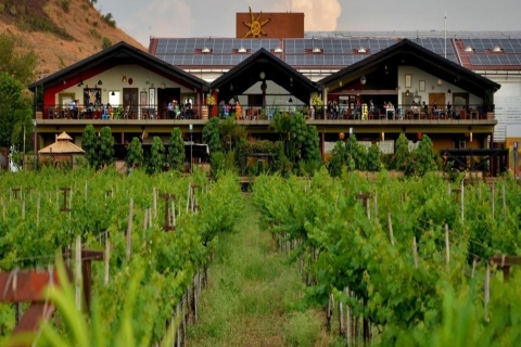 Ab Mumbia: Private Tagestour Nashik mit Weinverkostung