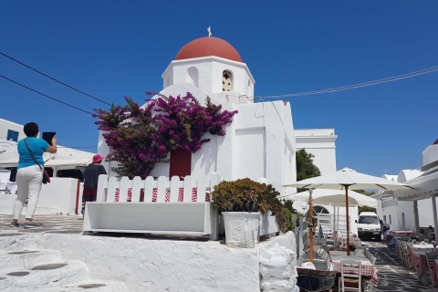 Mykonos: Full-Day Sightseeing Tour with Lunch
