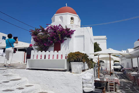 Mykonos: Visite guidée d'une journée avec déjeuner