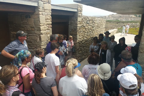 Desde Miconos: tour a la antigua DelosDesde Miconos: tour a la antigua Delos sin recogida