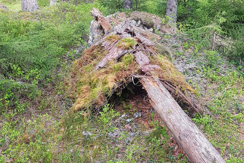 Oslo: Østmarka National Park Guided Hike with Food over Fire