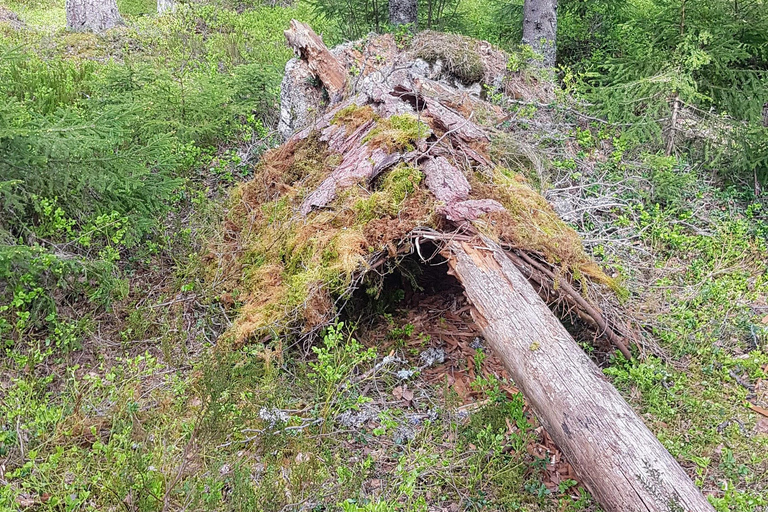Oslo: Østmarka National Park Guided Hike with Food over Fire