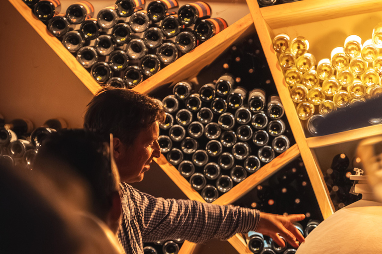 Pézenas: Tour of a spiral vineyard, food tasting, and winemaker's aperitif