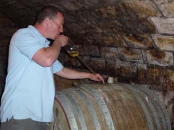 Halbtägige Etyek Wein-Tour ab Budapest mit Mahlzeit Halbtägige Etyek Wein-Tour ab Budapest mit Mahlzeit