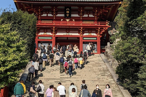 Tokyo: Kamakura & Enoshima Private Guided Day Trip