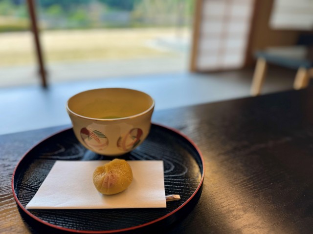Visit Japanese Garden Tour with Matcha and Japanese Sweets in Narita