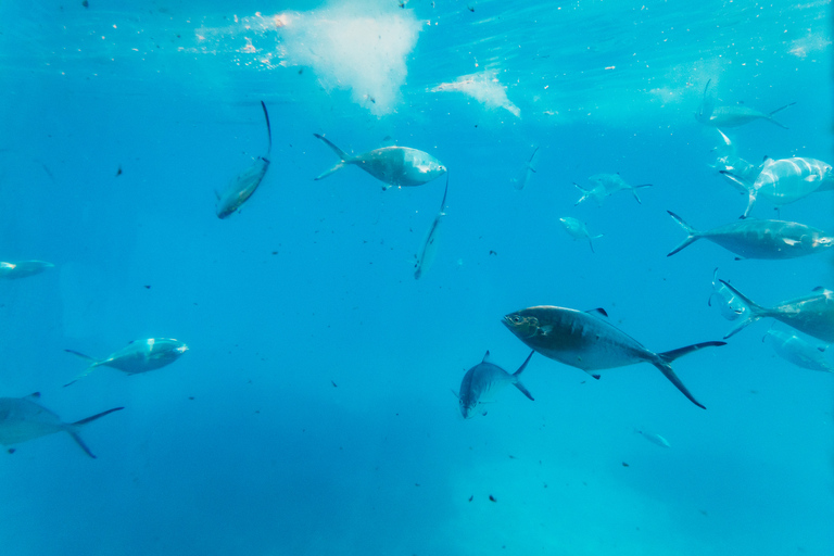 Agios Nikolaos: Semi-Submarine Cruise