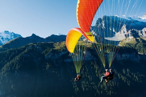 Interlaken: Tandem Paragliding Flight