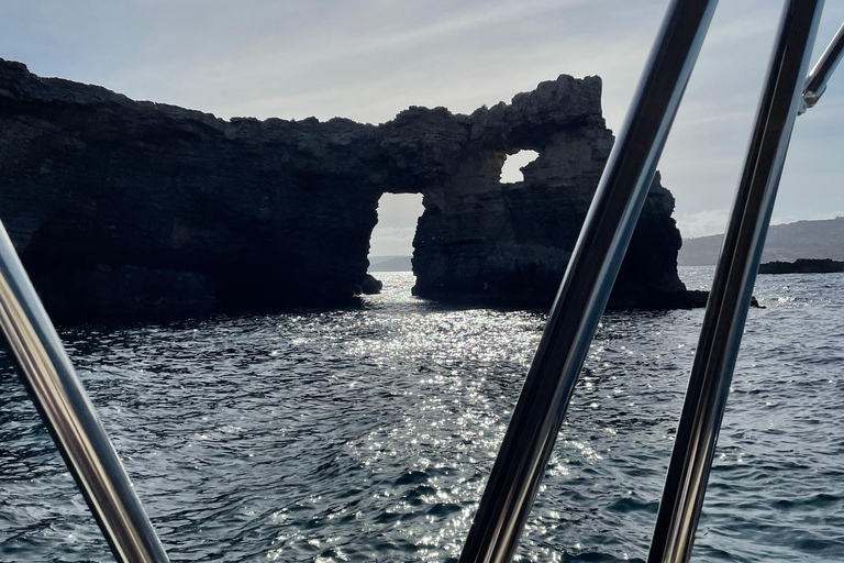 Malta/Gozo:Comino,Crystal/BlueLagoon&amp;Caves Privéboottocht