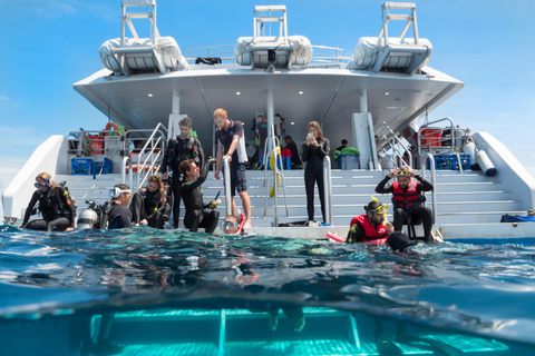 Cairns Great Barrier Reef: Snorkel Day Trip Snorkelling Trip