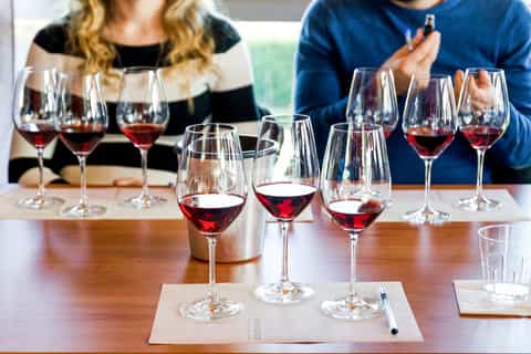 Queenstown: Wine Tour with Zip Line, Golf & Boat Options