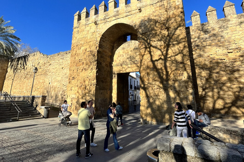 Cordoba: City Highlights Private Walking Tour