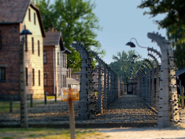 Visit Auschwitz-Birkenau Tour from Katowice with Private Transfers in Katowice, Polonia