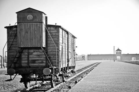 Auschwitz-Birkenau Tour da Katowice con trasferimenti privati6 ore: Auschwitz-Birkenau da Katowice