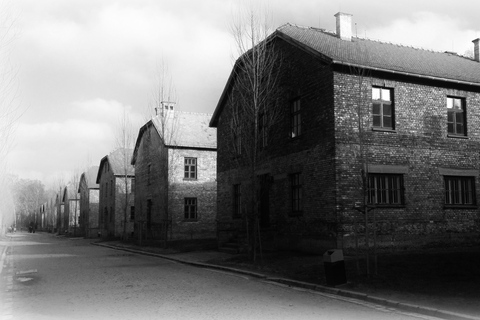 Visite d'Auschwitz-Birkenau depuis Katowice avec transferts privés6 heures : Auschwitz-Birkenau depuis Katowice