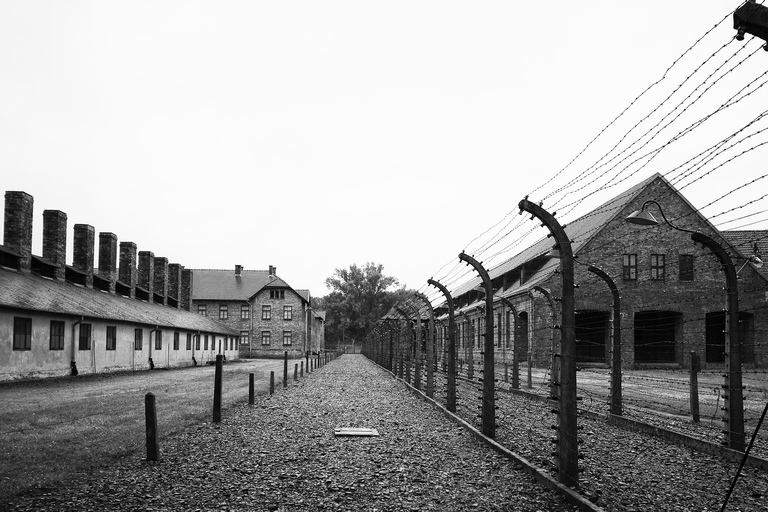 Visite d'Auschwitz-Birkenau depuis Katowice avec transferts privés6 heures : Auschwitz-Birkenau depuis Katowice