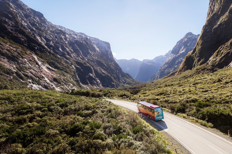 Te Anau: Milford Sound Bus, rejs, obserwatorium i lunch