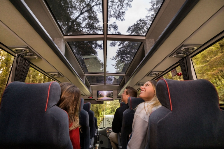 Te Anau : bus de Milford Sound, croisière, observatoire et déjeuner