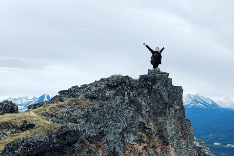 Denali: 5-Hour Guided Wilderness Hiking Tour Denali 4-Hour Hiking Tour