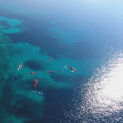 Lumbarda: Half-Day Kayaking and History with Wine delight