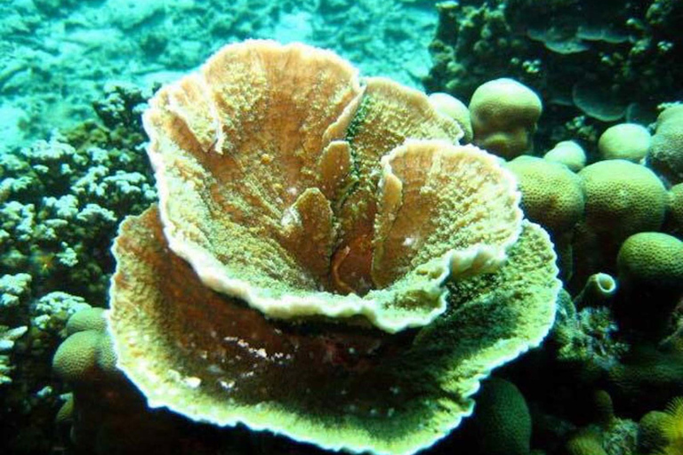 Samui: Angthong National Marine Park Day Trip by Speedboat Angthong National Marine Park - Snorkeling & Kayaking