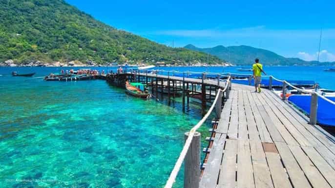 koh tao koh nang yuan day trip by speedboat