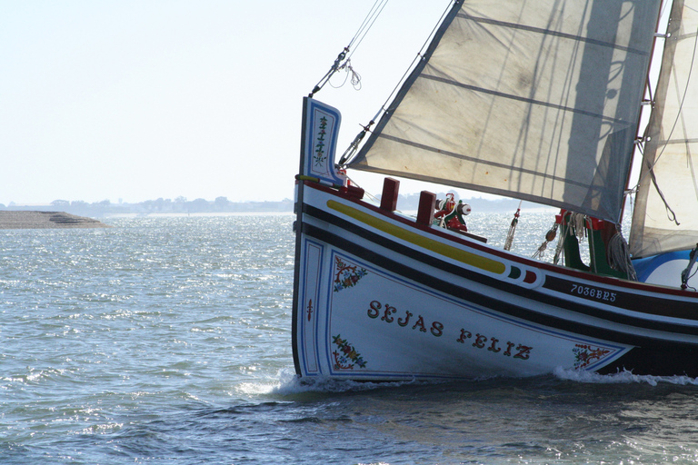 Lisbon: River Tagus Sightseeing Cruise in Traditional Vessel Lisbon: River Tagus Guided Sightseeing Cruise