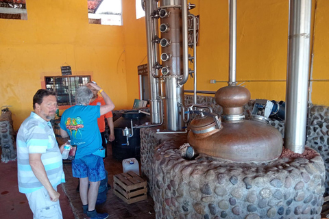 Mazatlan: Mezcal Factory Tour with Tasting and Lunch