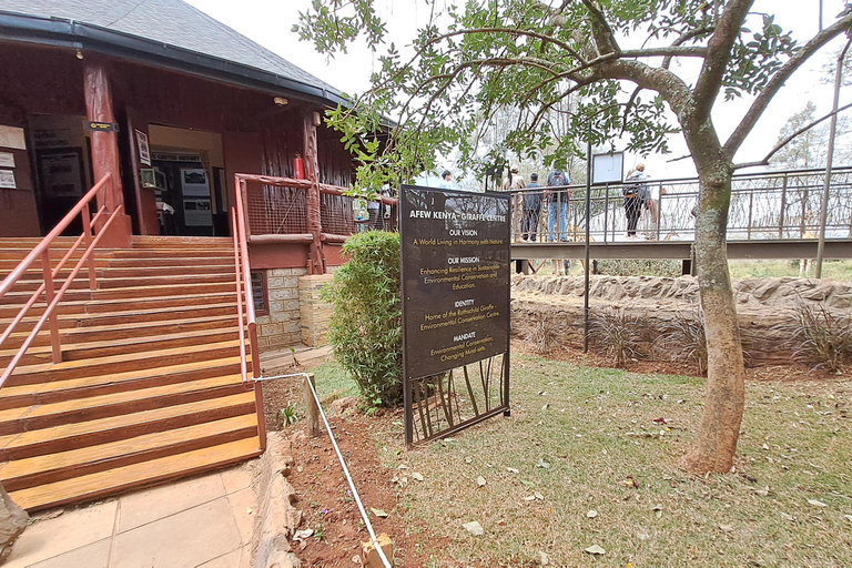 Nairobi: Orfanotrofio degli elefanti e delle giraffe David Sheldrick ...