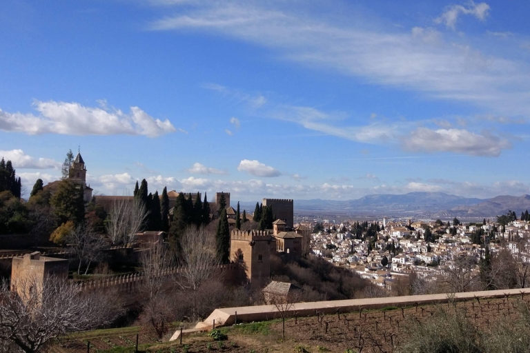 Desde Sevilla: excursión privada de 1 día a Ronda y Granada