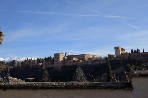 Depuis Séville : Excursion privée d'une journée à Ronda et Grenade