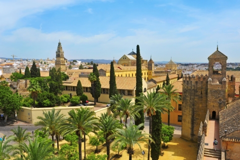 Cordoba: tour Mezquita, synagoge en Judería met ticketsGedeelde ochtendtour in het Engels
