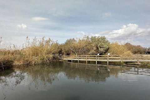 Amman - Wüstenschlösser & Azraq Wetland Reserve GanztagesausflugAmman, Wüstenschlösser & Azraq Wetland Reserve Ganztags-VAN